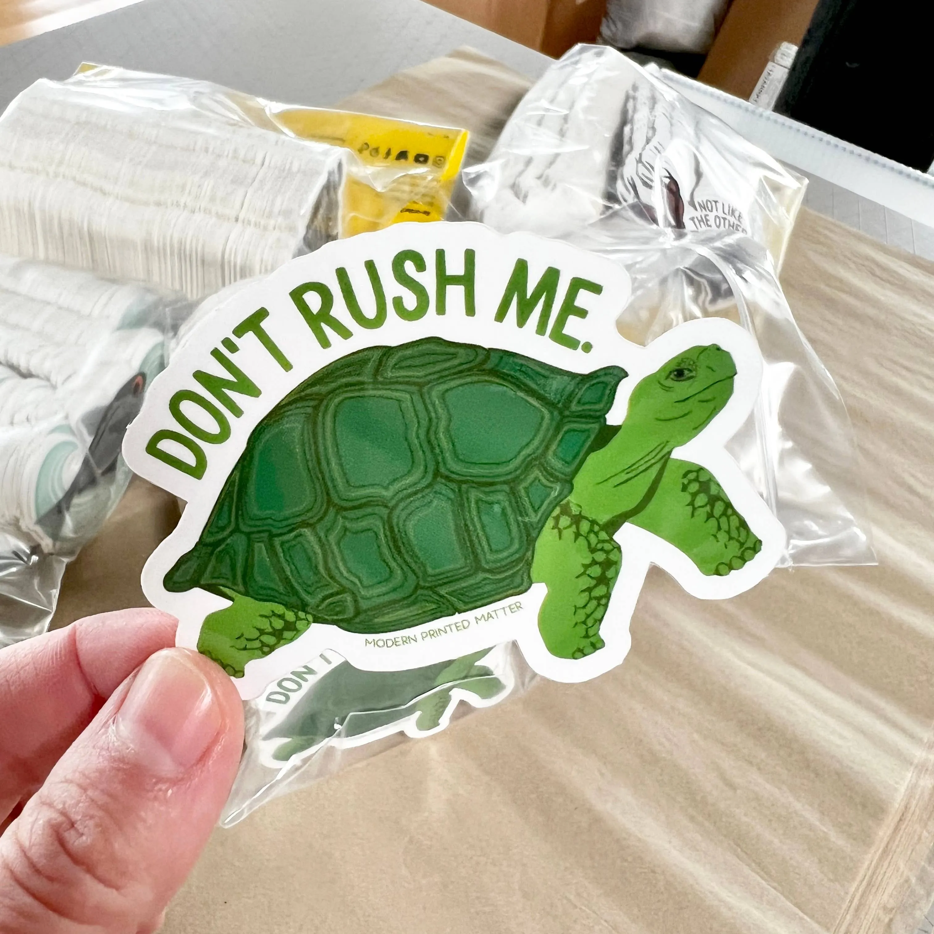 Don't Rush Me Turtle Sticker